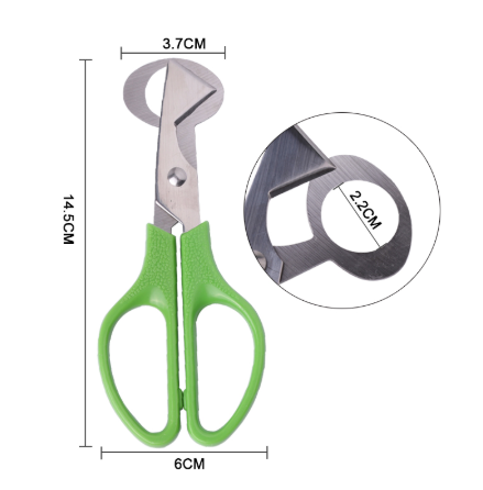 Stainless Steel Quail Egg Cutter and Shell Remover