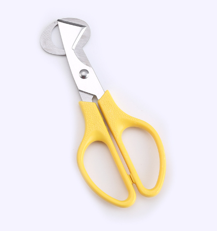 Stainless Steel Quail Egg Cutter and Shell Remover