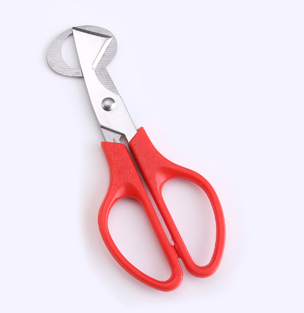 Stainless Steel Quail Egg Cutter and Shell Remover