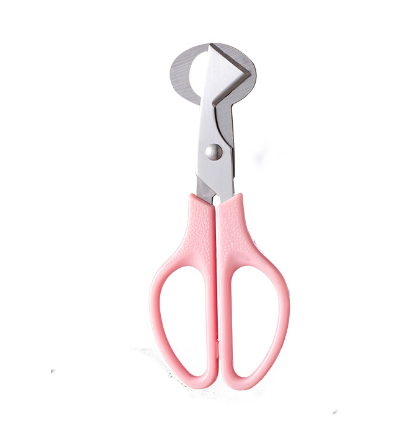 Stainless Steel Quail Egg Cutter and Shell Remover